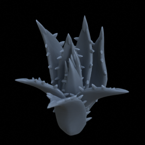 Terrain Plant Agave