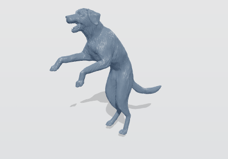 Dog Labrador Jumping