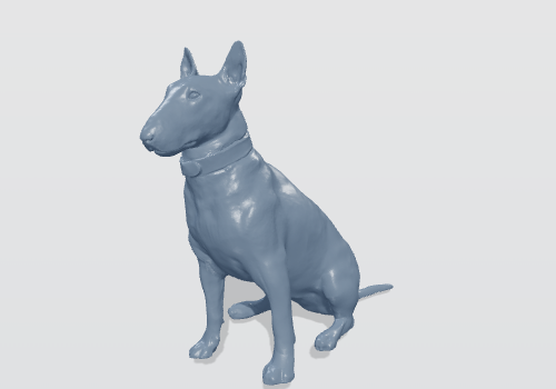 Bull Terrier Sitting