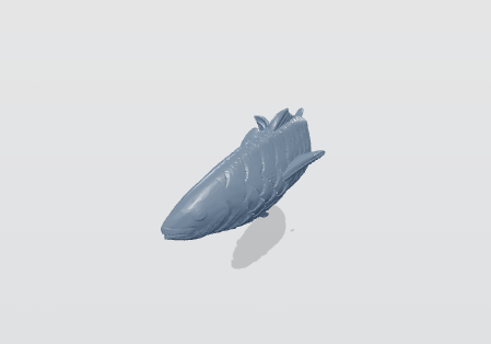 3D view of Fish_Tuna_2