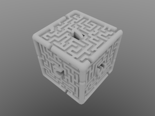 Six Sided Maze Die