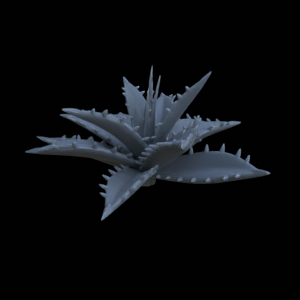 Terrain Plant Agave