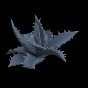 Terrain Plant Agave